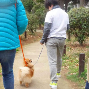 【売り銀座】犬とお散歩（Ｂ） その他