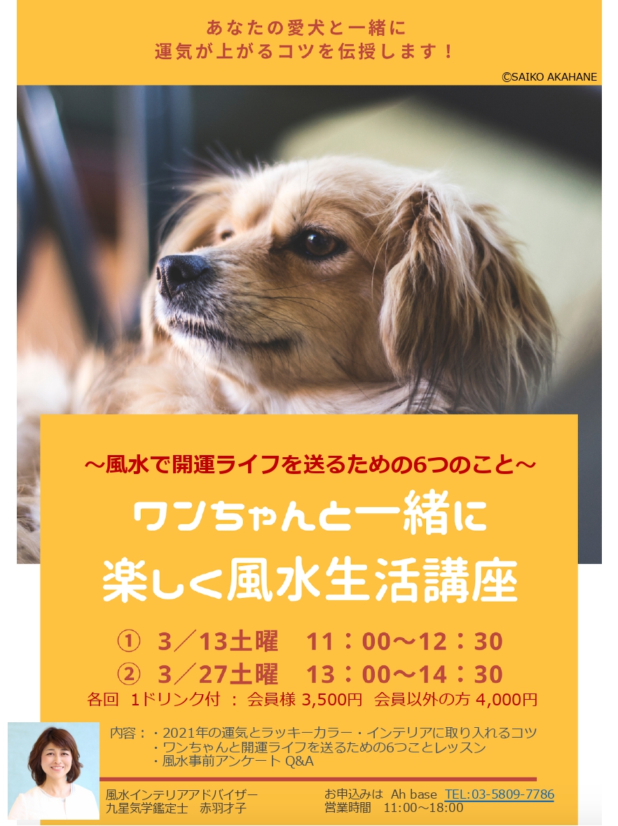 ワンちゃんと一緒に楽しく風水生活講座 3月27日 土 開催 イベント ニュース Ahbase 出逢う 学べる 共に育てるドッグパーク