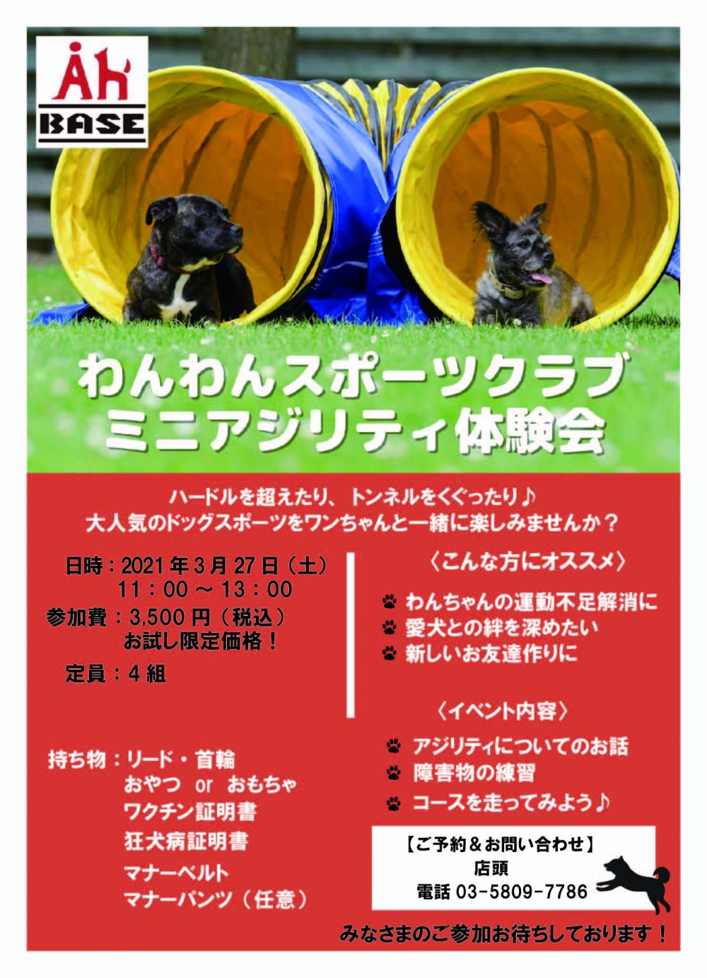 わんわんスポーツクラブ ミニアジリティ体験会 3月27日開催 イベント ニュース Ahbase 出逢う 学べる 共に育てるドッグパーク